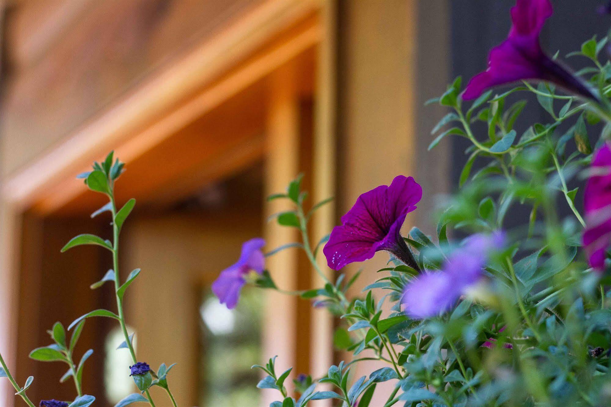 Tranquility Bay Waterfront Inn Sechelt Ngoại thất bức ảnh
